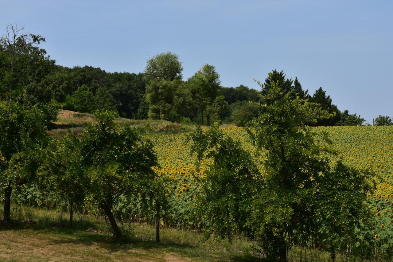 Bed and Breakfast Domaine De Calbiac Dolmayrac Экстерьер фото